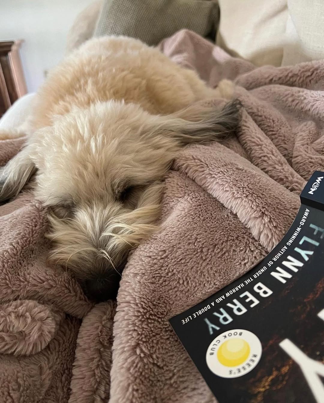 Book Club