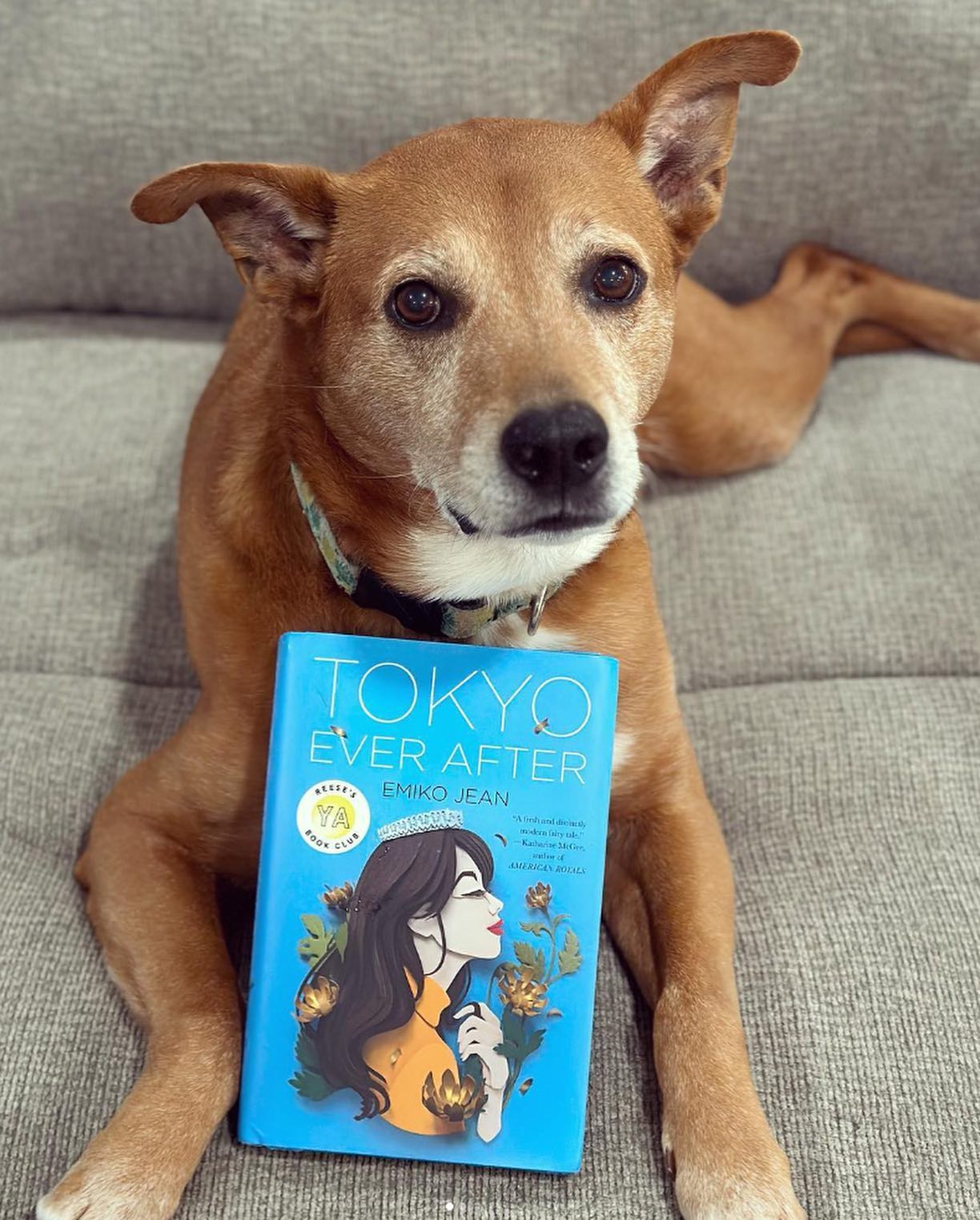 Book Club